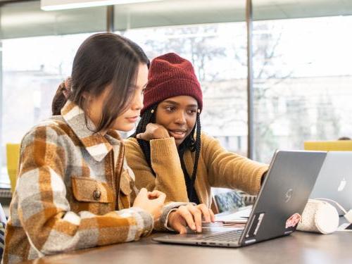 Students studying together.